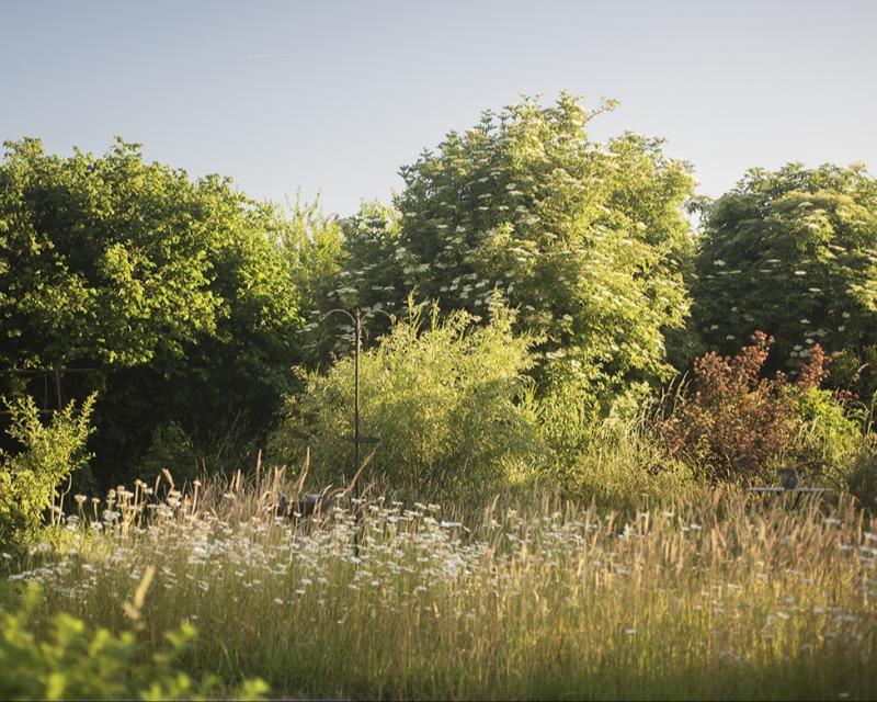 20250915_133212_nat-rn-terrain-1150_photo_jardin 06-23-1.jpg